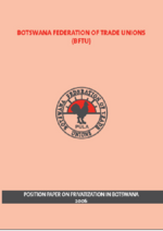 Position paper on privatization in Botswana 2006