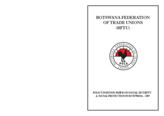 Position paper on social security and social protection in Botswana 2007